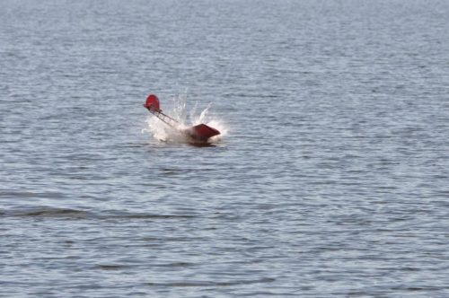 469614830 10170267378135235 478719124605772537 n