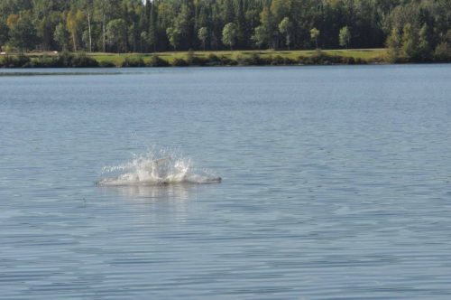 469651410 10170267375780235 2223057821005737201 n