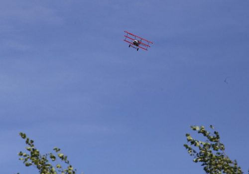 490095739 2402410673472694 2579672797385646861 n