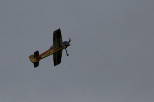 492413197 2420041431709618 1942049586226361980 n