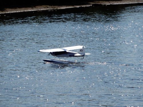 464921592 8588895671203941 1806991248909970357 n