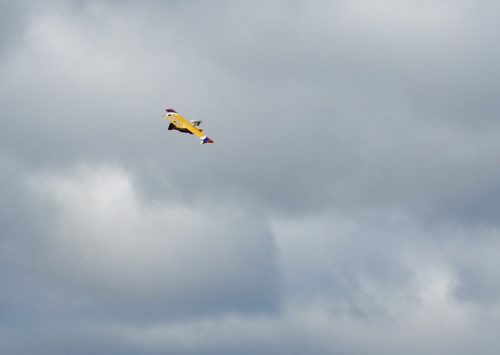 70039780 2476984035728499 613341606409404416 n