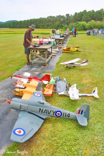 480664159 1148174017316669 1918338656146769202 n