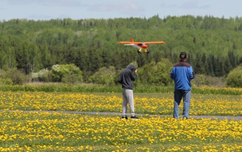 482985197 2993873047428093 7523629758614542828 n