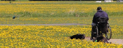 484796506 2993873127428085 5160853050003621135 n