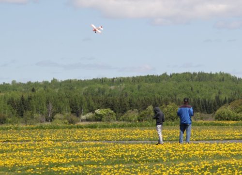 484808193 2993873357428062 8427330248547784014 n