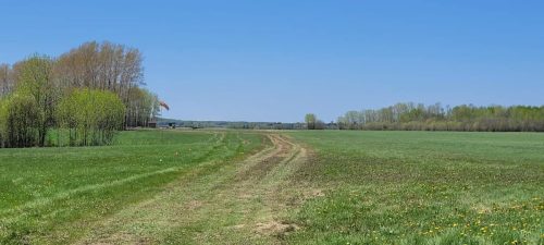 348954258 808985417307282 4678466487603673347 n