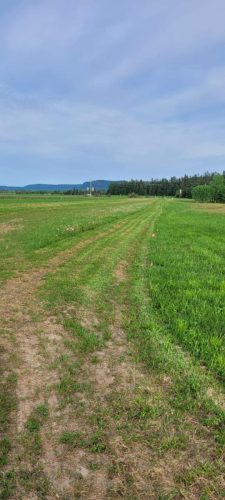 351126082 598210118776754 6599728350114780528 n