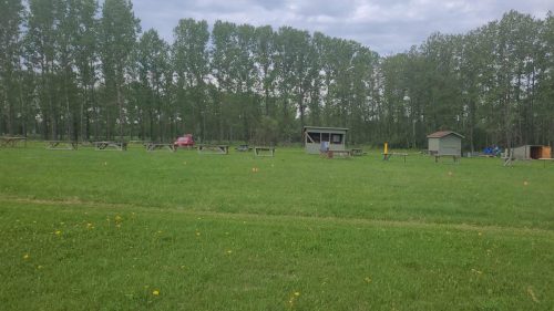 351482054 564731185813698 8284845797460025761 n