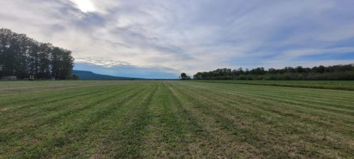 352234992 969638427509235 1978081363524135516 n