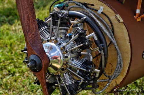 363425004 6410493785704181 8454322187940513344 n