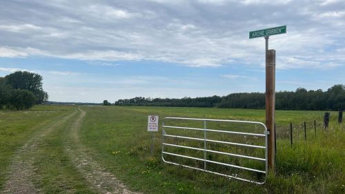 366084317 1755512414905083 8604327260374836264 n