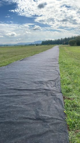 371792807 10168114722755235 1459659178351134274 n