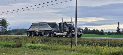 481702103 636129452571976 4203593822882143193 n