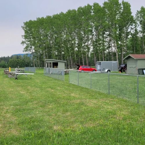 490302810 9329250447193656 988449077915522922 n