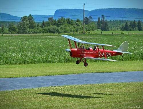 448537873 959823702818369 4526658572071670671 n