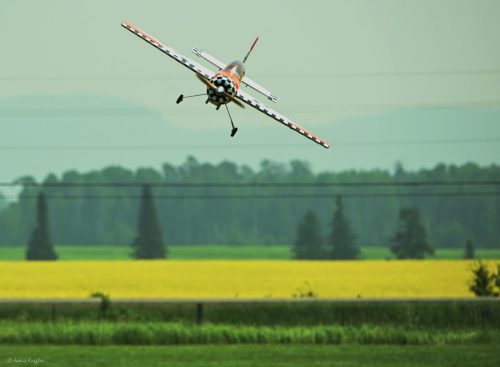 518285148 1271700834963986 4147553551757754523 n