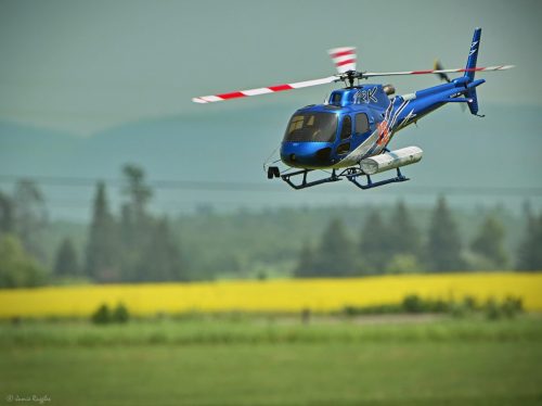 518285905 1271698868297516 9093545816254744070 n