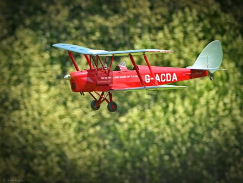 518287755 1271696338297769 3391167832716977680 n