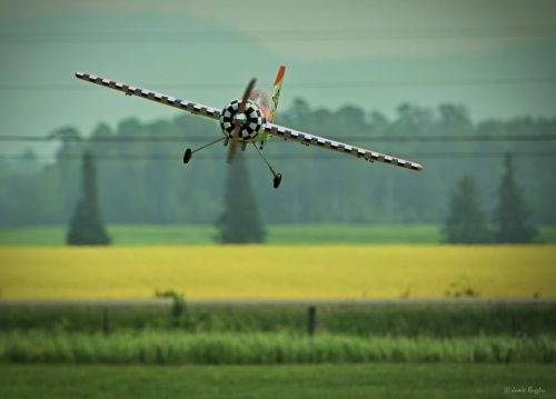 518298346 1271700418297361 482526663568521219 n