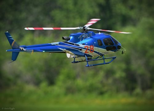 518386676 1271698824964187 3101506681543468524 n