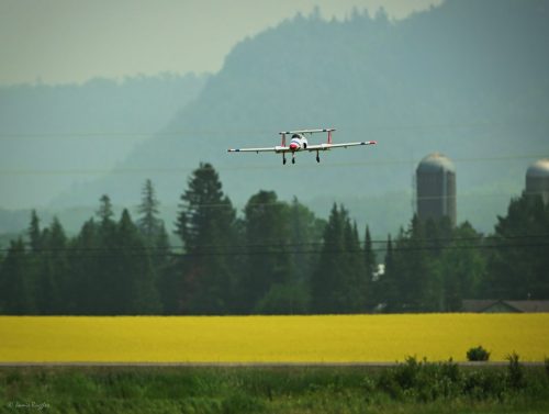 518393019 1271699731630763 1437385790375854350 n