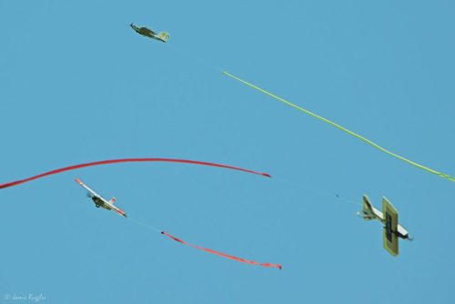 518401763 1271702131630523 7318375942216955340 n