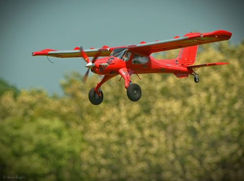 518606697 1271696844964385 8372214399386564722 n