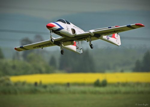 518814586 1271699868297416 3776360094431793967 n