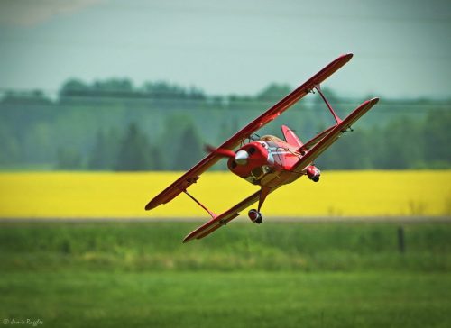 518817647 1271699438297459 1969122796886848298 n