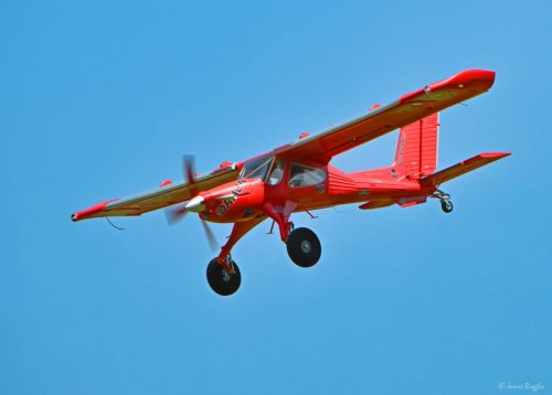 519410880 1271699484964121 2611073546204392757 n