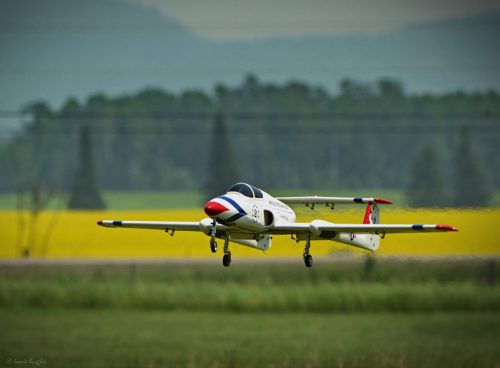 519698959 1271698601630876 1075635786625394007 n