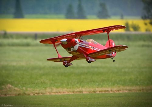 520255457 1271698358297567 8664817400508204936 n