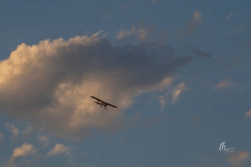 557635405 1405757858223124 4189937428809533621 n