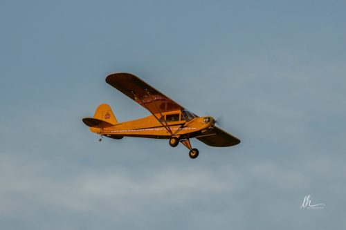 557638331 1405757638223146 358113454099064582 n