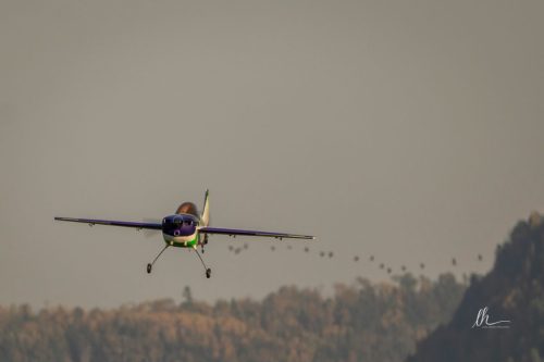 557727828 1405757474889829 2022586273028496634 n