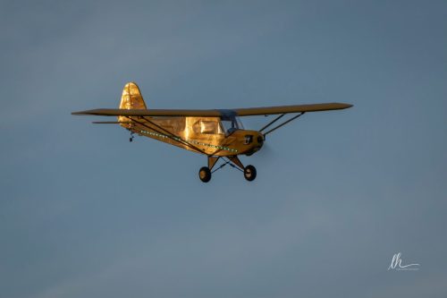 557836357 1405757688223141 3441300103316800712 n