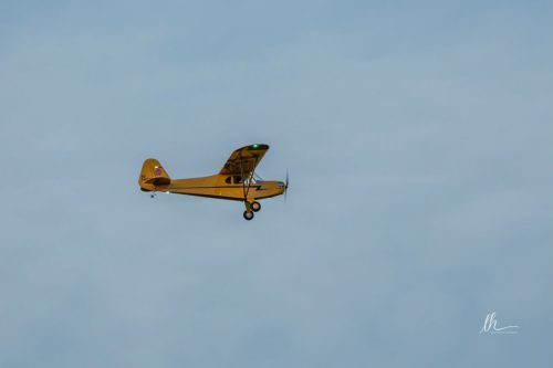 557865010 1405757588223151 6786878795265967668 n